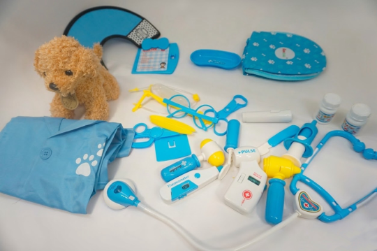 Sanlebi toy recall otoscope component button battery ingestion risk children