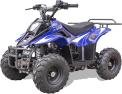 Youth ATV Recall 2026 Safety Alert